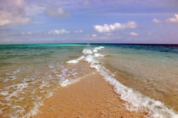 Nakupenda Adası, Zanzibar, Tanzanya