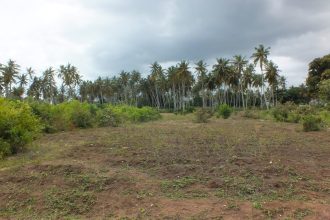 Zanzibar adası, Tanzanya