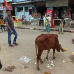 Varanasi sokakları her türlü ilginçliğe açık