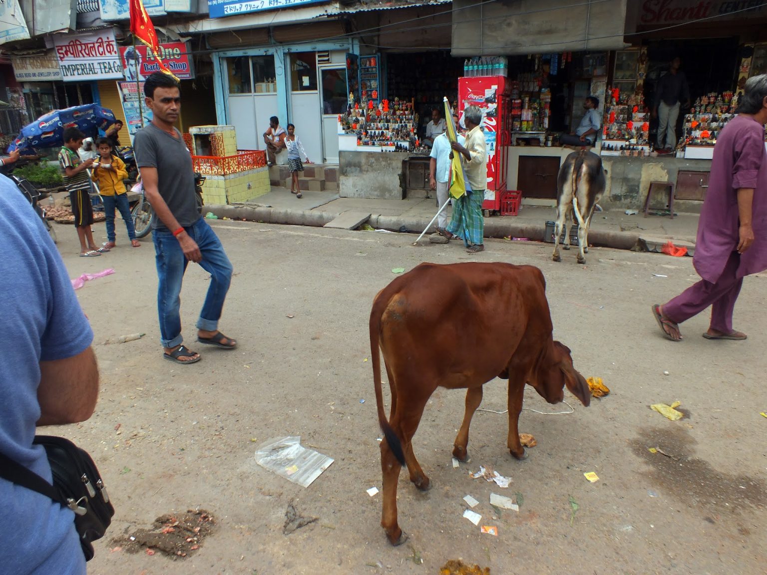 Varanasi sokakları her türlü ilginçliğe açık