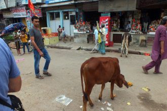 Varanasi sokakları her türlü ilginçliğe açık