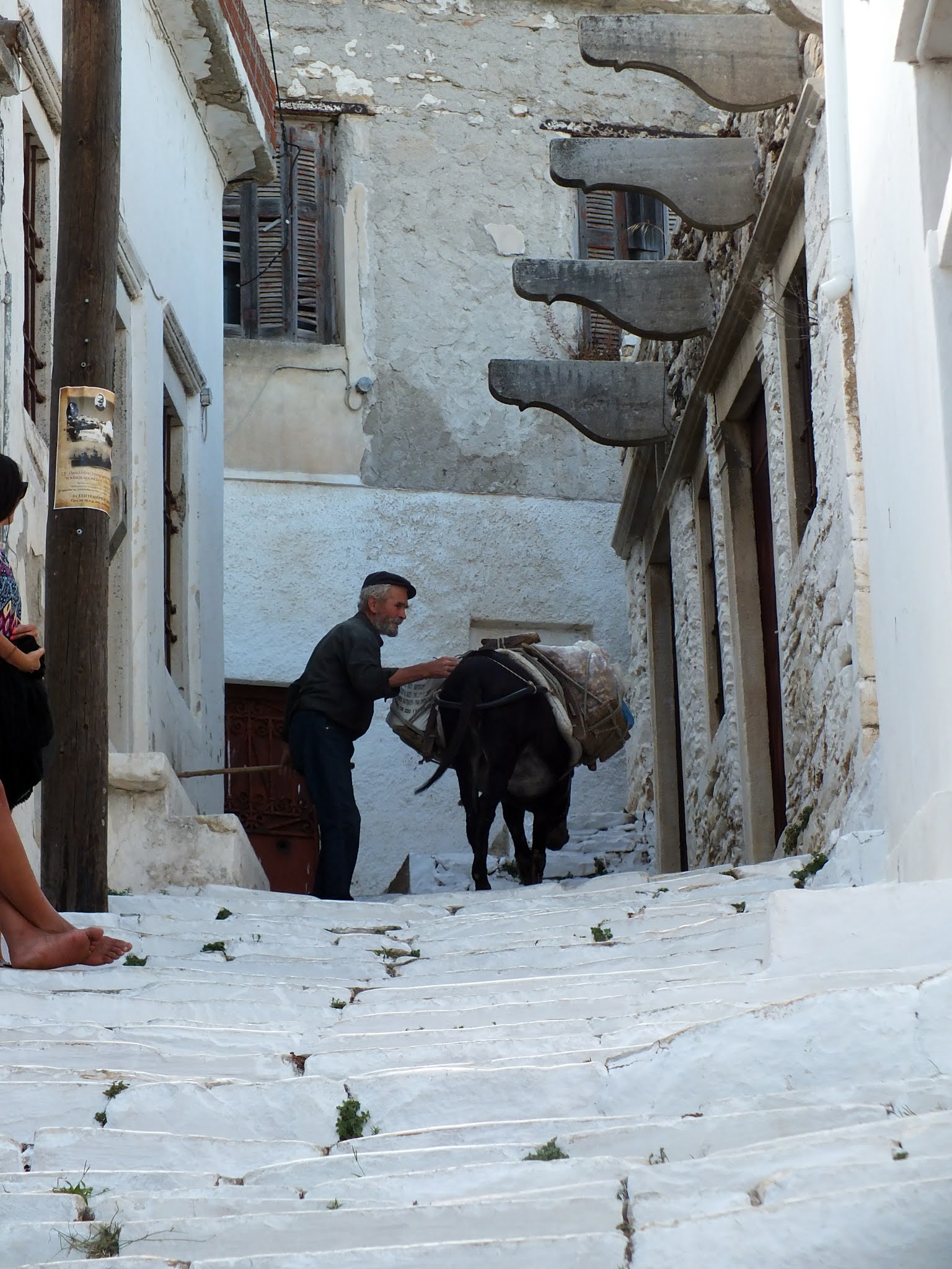 Naxos'ta eşekler ulaşımı sağlamakta