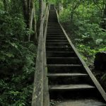 Turajda'da orman yürüyüş parkurları, Sigulda, Letonya