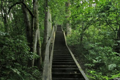 Turajda'da orman yürüyüş parkurları, Sigulda, Letonya