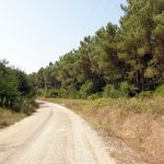 Kefken Pembekayalar Yolu