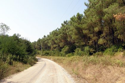 Kefken Pembekayalar Yolu