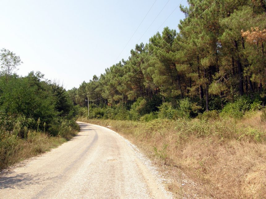 Kefken Pembekayalar Yolu