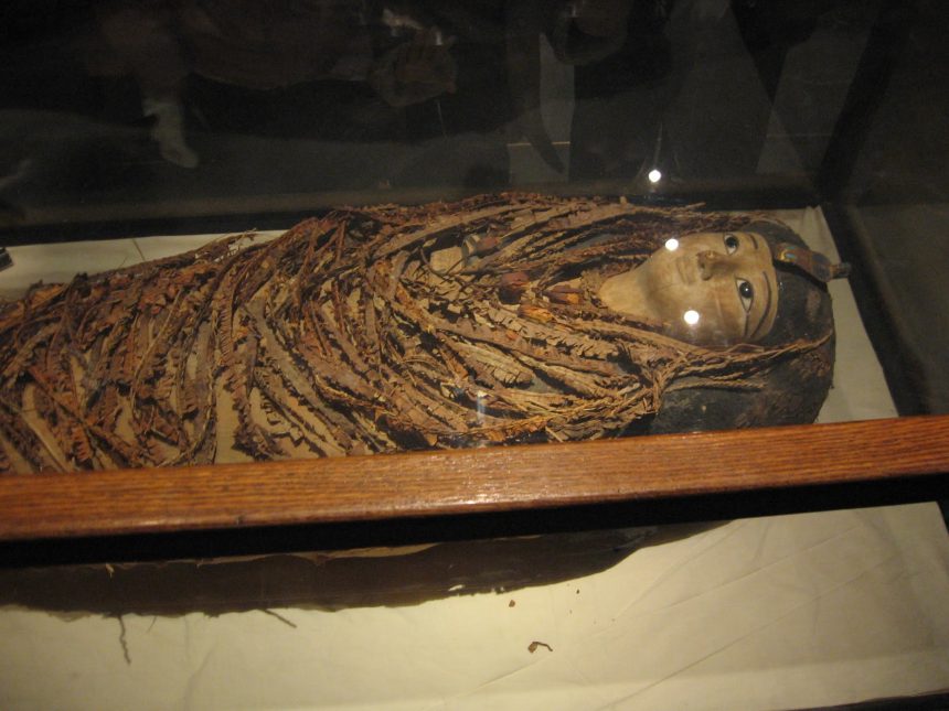 Mumyalar, Kahire Müzesi