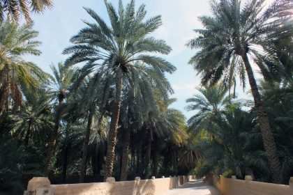 Al Ain Vahası