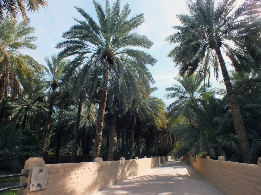 Al Ain Vahası