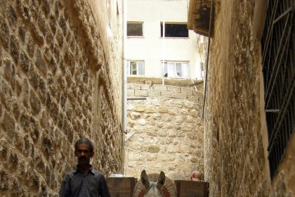 Mardin'in eşekleri yük taşımada kullanılıyor
