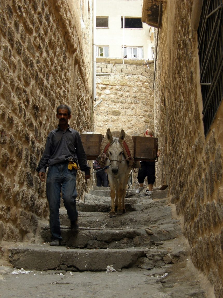 Mardin'in eşekleri yük taşımada kullanılıyor