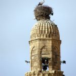 Hasankeyf'in Leylekleri
