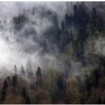 Svaneti Yollarından manzaralar, Gürcistan